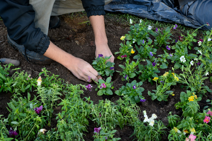 Noticias MR | La Escuela de Jardinería dicta nuevos talleres abiertos a