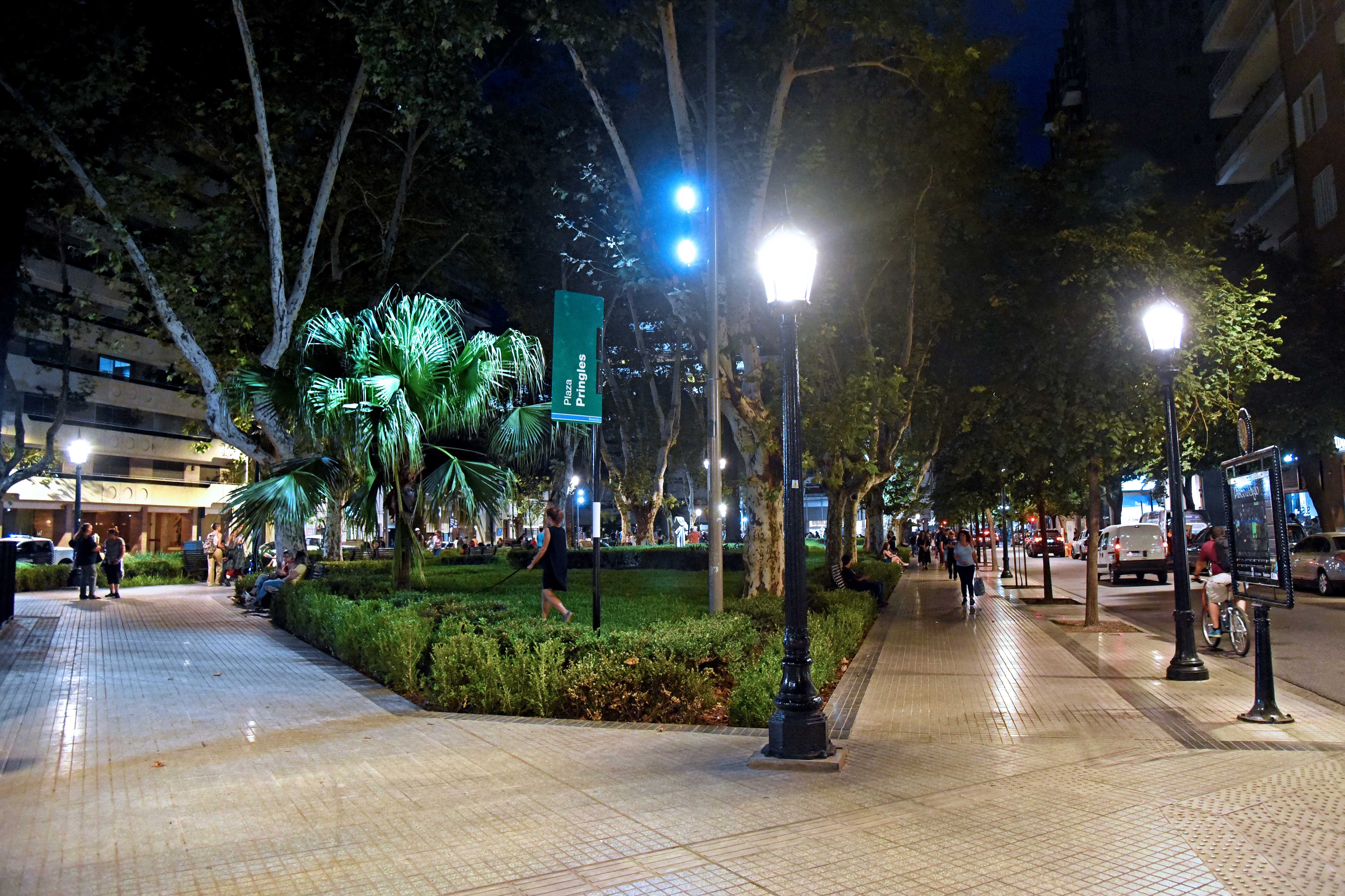 Noticias MR | Este miércoles 15 se plantarán árboles en la plaza Pringles Noticias MR | Este miércoles 15 se plantarán árboles en la plaza Pringles