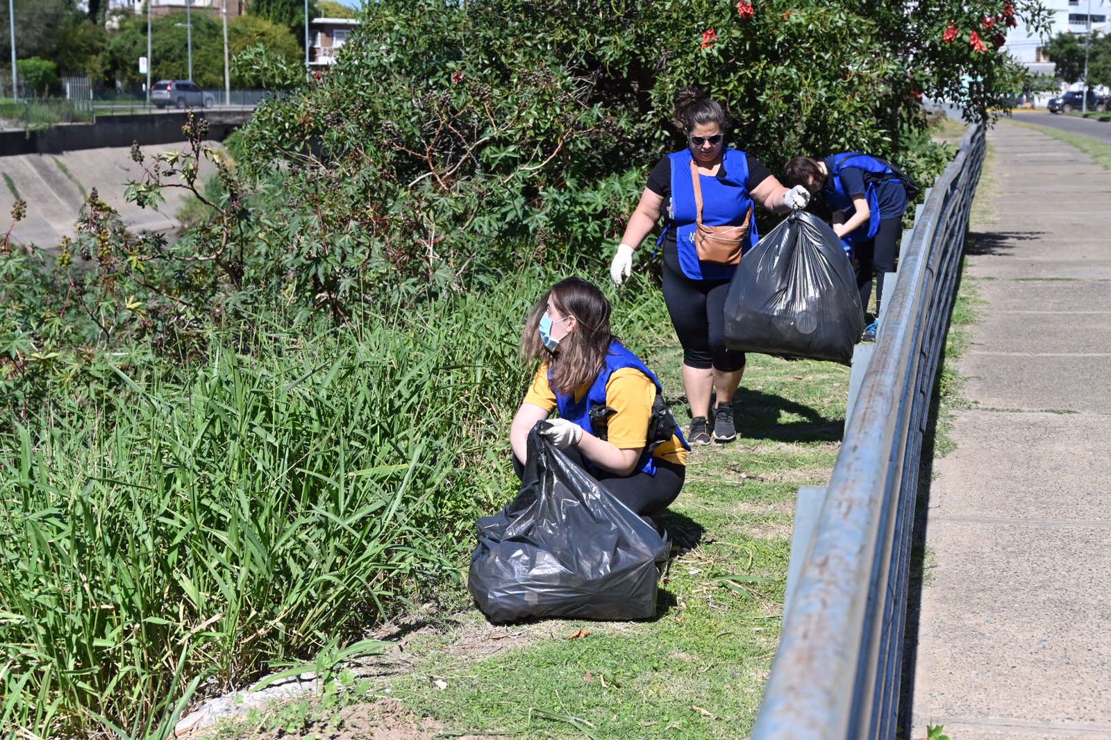 voluntariado ambiental