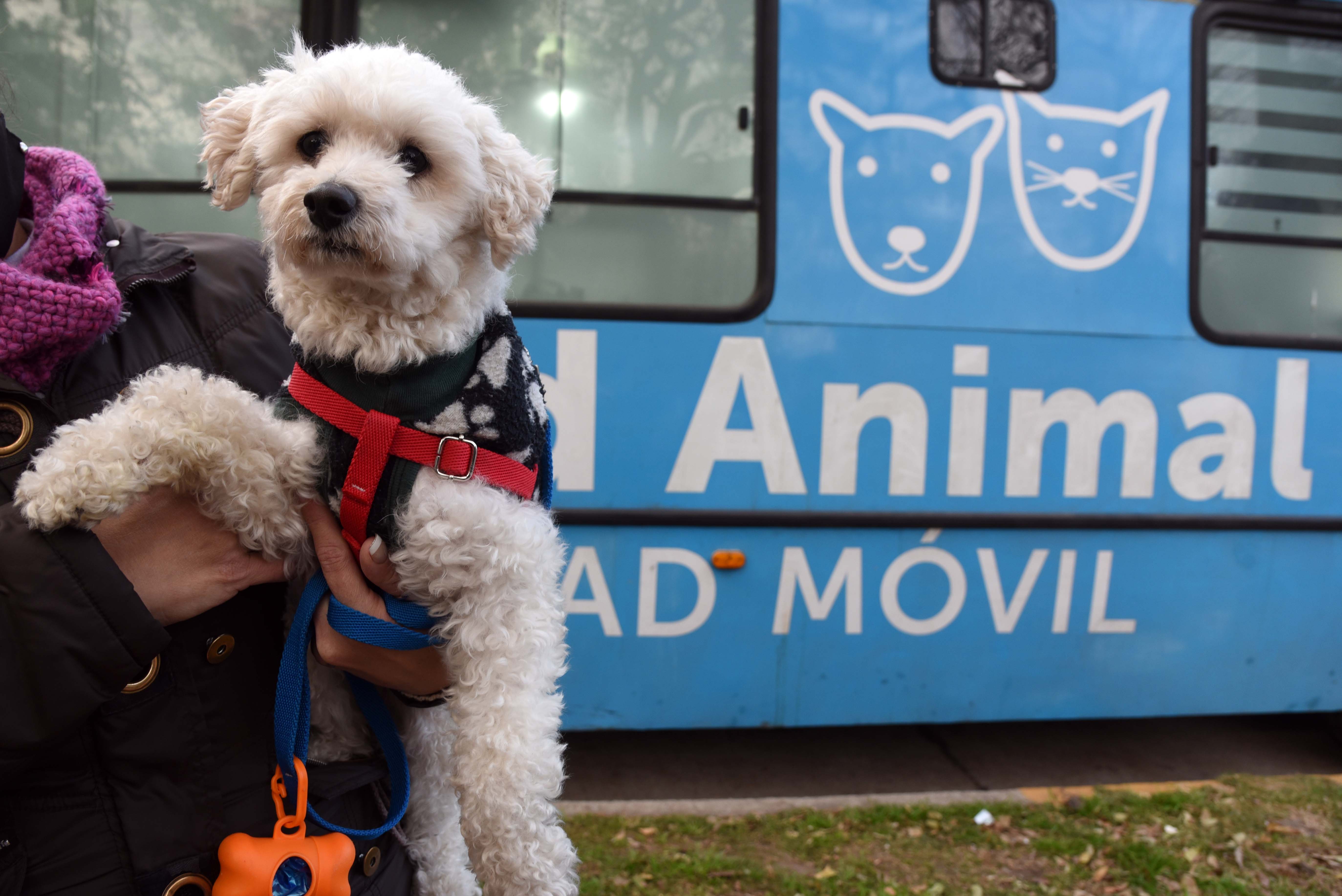 Noticias MR | Durante 2022, la Municipalidad avanzó en acciones de salud y protección animal
