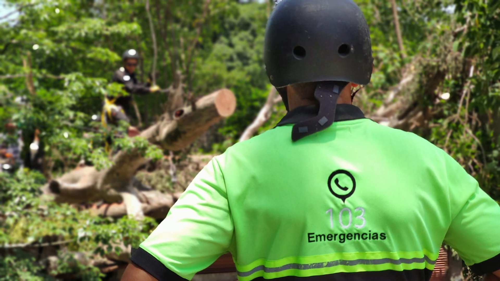 Tormenta: se registraron ráfagas de hasta 67 km/h y 46 mm de lluvia, y se renovó alerta amarilla