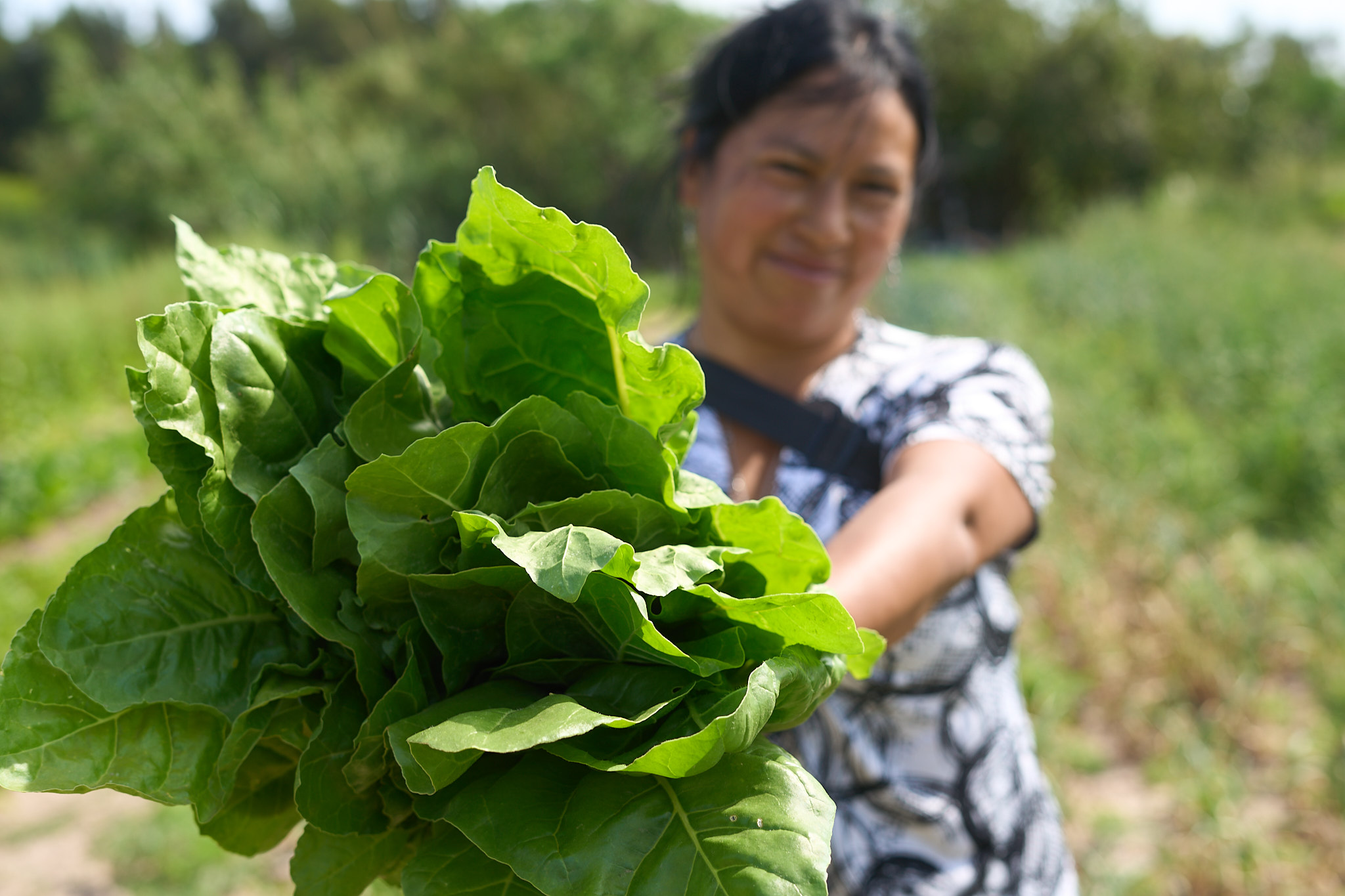Noticias MR | Rosario reafirma su protagonismo internacional en políticas alimentarias urbanas