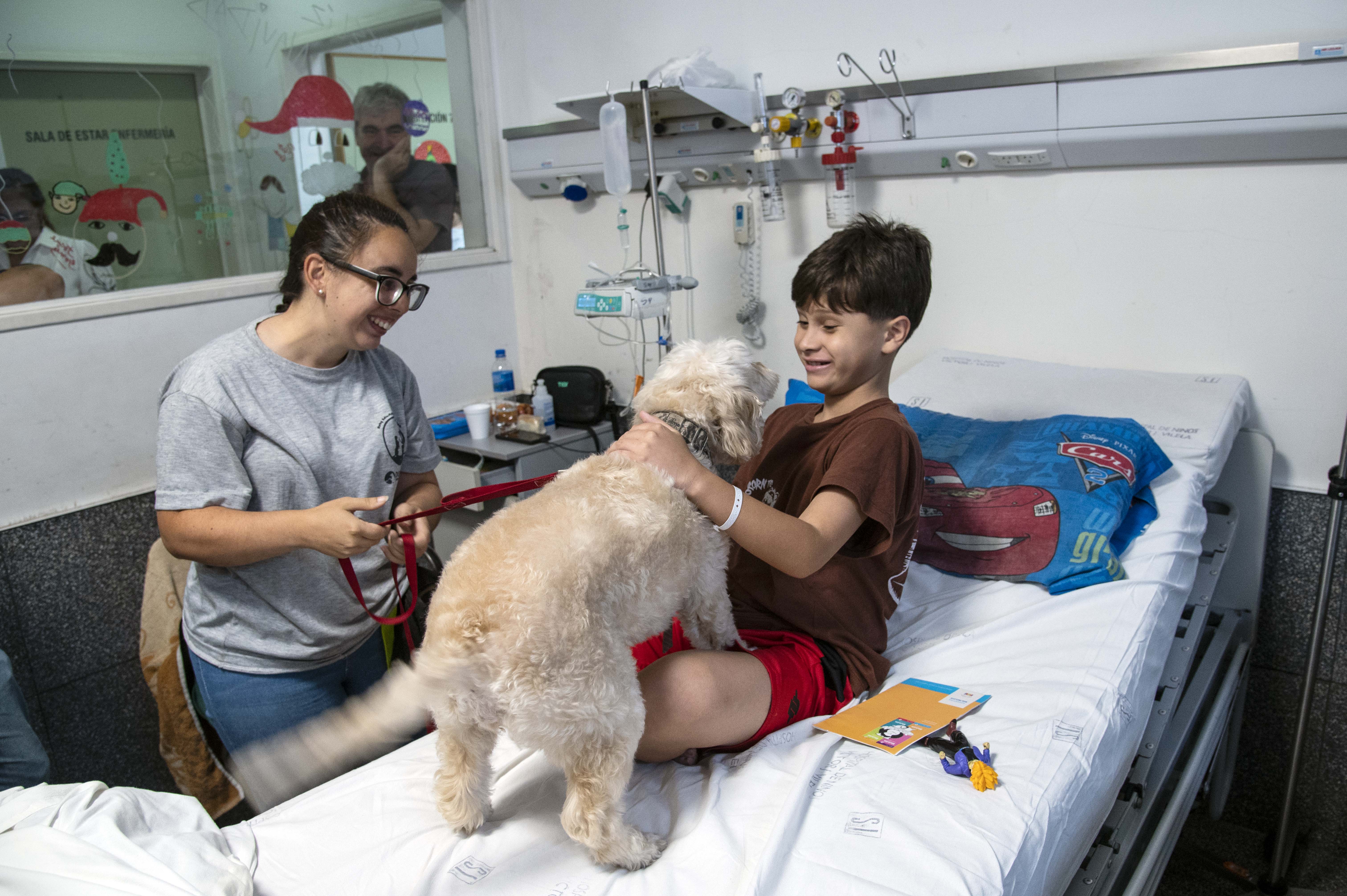 Con Cala y Zafira, comenzó la prueba piloto de ingreso de animales de compañía en el Hospital Vilela