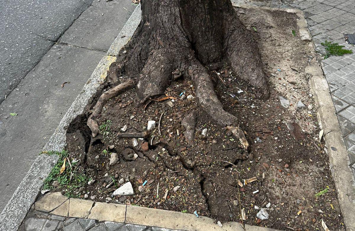 Alerta amarilla por tormentas: el SMN extendió el aviso hasta la noche del domingo